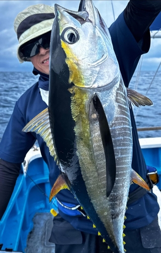 キハダマグロの釣果