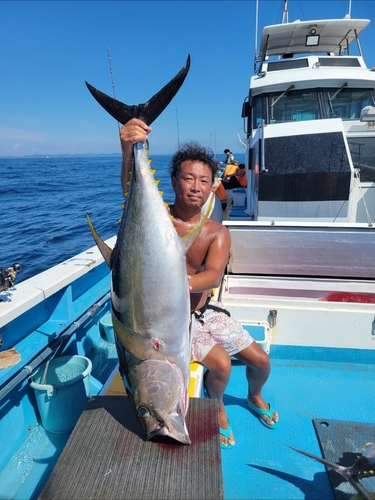 キハダマグロの釣果