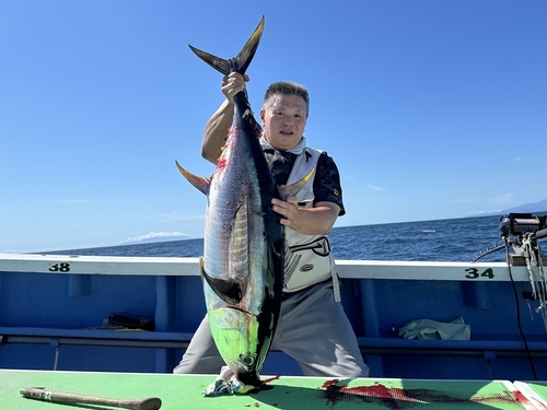 キハダマグロの釣果