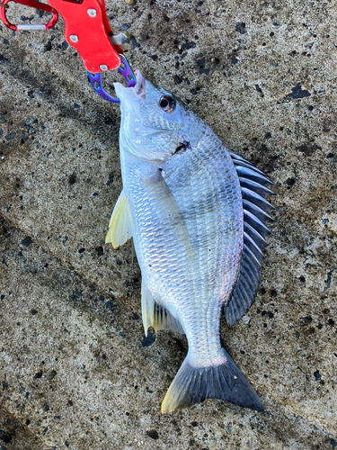 福間漁港海浜公園