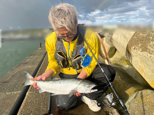 シロザケの釣果