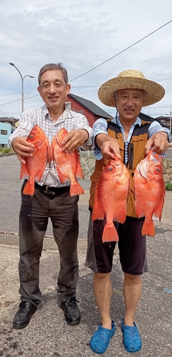 ハナダイの釣果