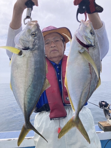 シマアジの釣果