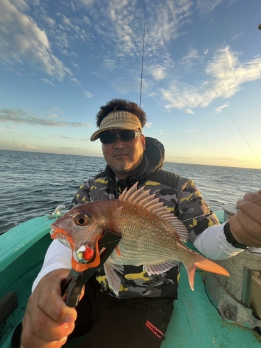 マダイの釣果