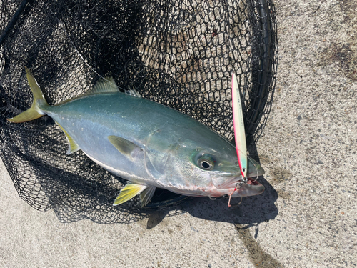 三陸海岸（岩手）