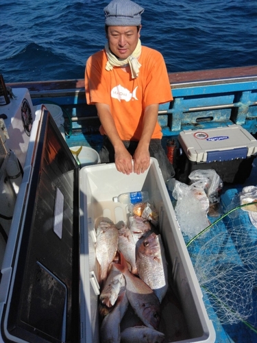 マダイの釣果