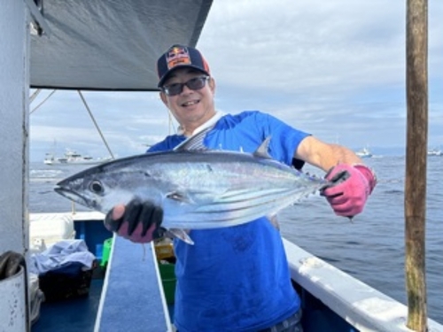 カツオの釣果