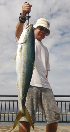 メジロの釣果