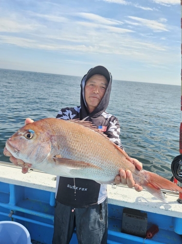 イナダの釣果