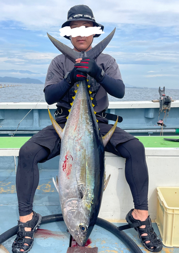 キハダマグロの釣果