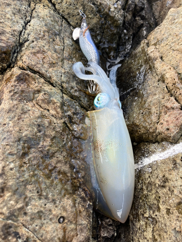 男鹿半島