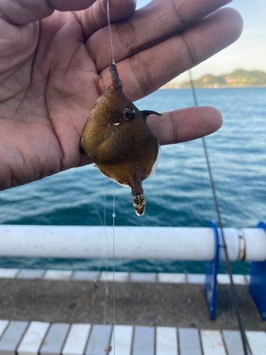 日明海峡釣り公園