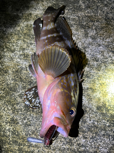 日和山浜海水浴場