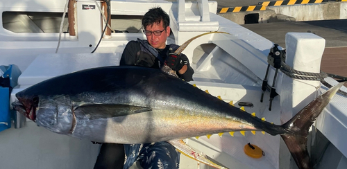 キハダマグロの釣果