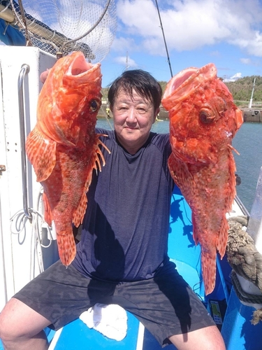 オニカサゴの釣果