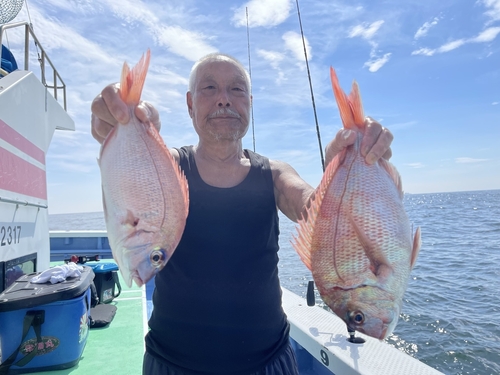 マダイの釣果