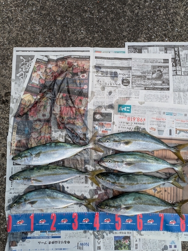 鹿島港魚釣園