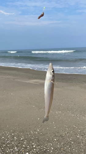 日川浜海岸