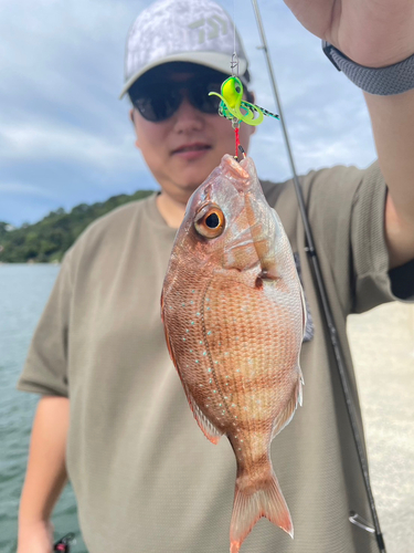 チャリコの釣果