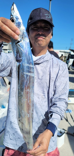 タチウオの釣果