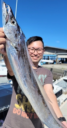 タチウオの釣果