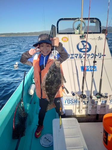 ヒラメの釣果