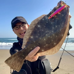 ヒラメの釣果