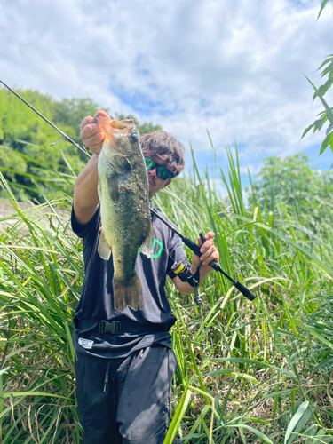 ラージマウスバスの釣果