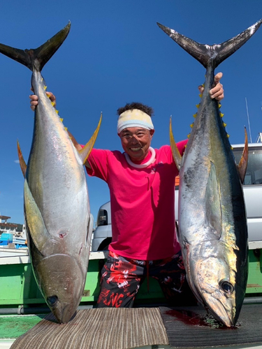 キハダマグロの釣果