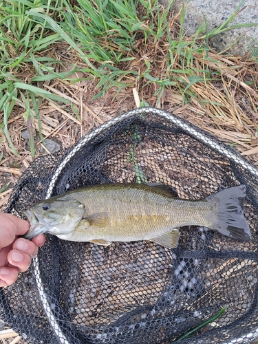 海老名運動公園