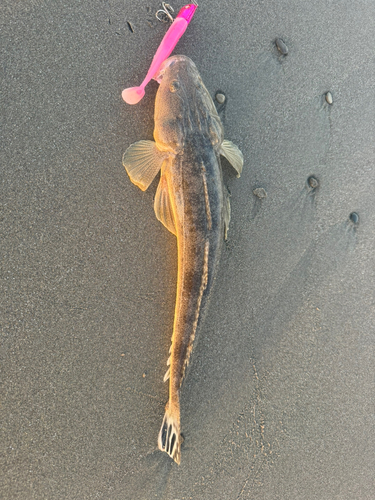 須田浜海岸