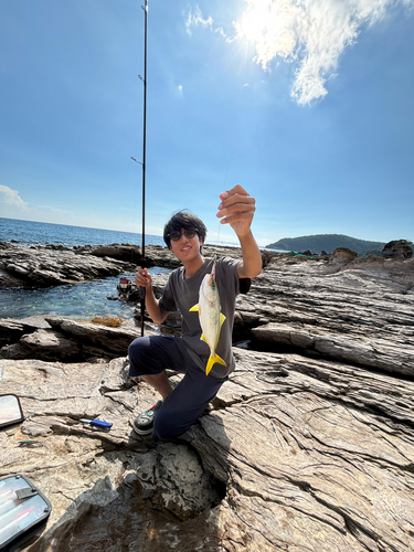 ワカシの釣果