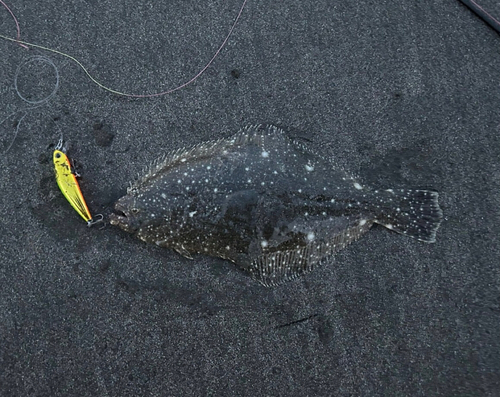 由比ヶ浜沖