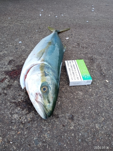 内浦湾（北海道）