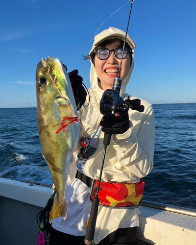 シロサバフグの釣果