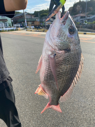 大矢野島