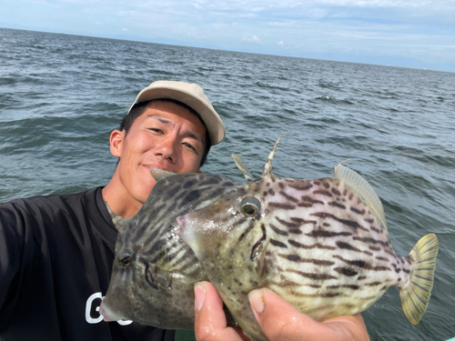 カワハギの釣果