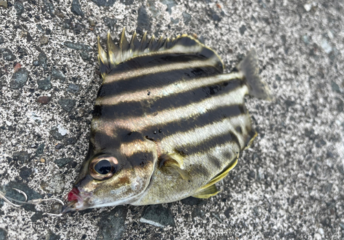 小名浜沖堤防