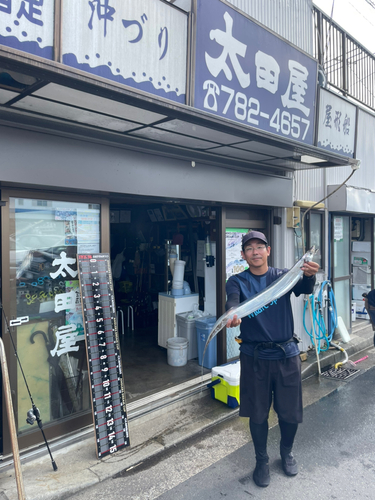 タチウオの釣果