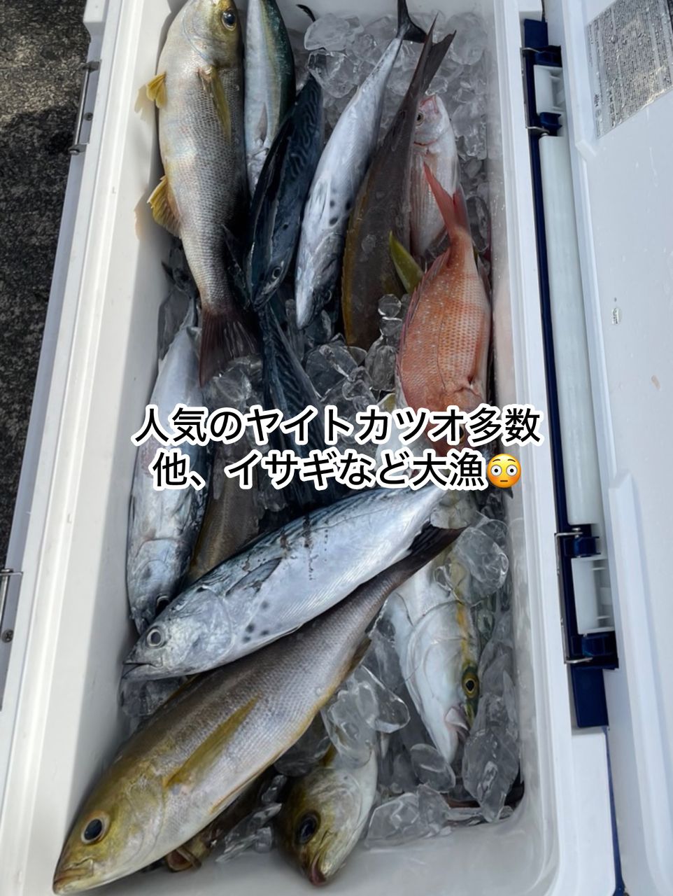 清和丸さんの釣果 3枚目の画像