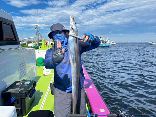 タチウオの釣果