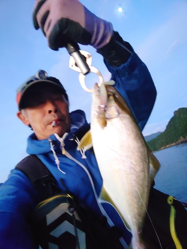 ショゴの釣果