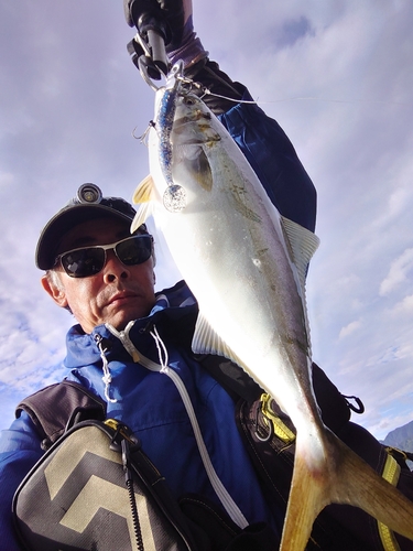 ツバスの釣果