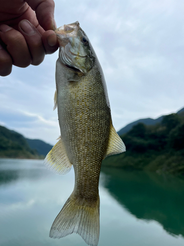 浦山ダム