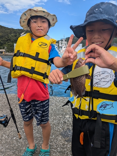 サンバソウの釣果