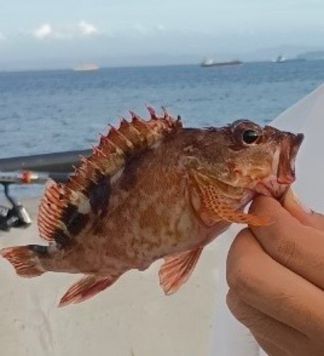 金沢水際線緑地（福浦岸壁）