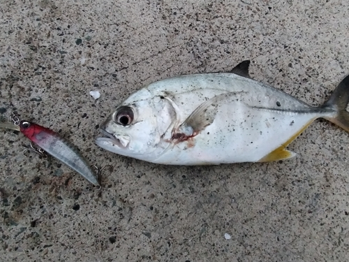 表浜名湖