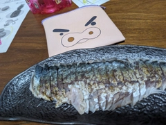 ケンサキイカの釣果