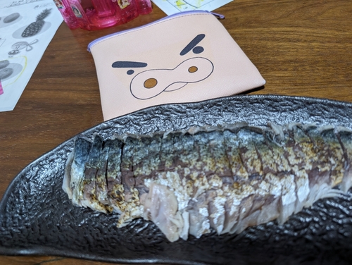 ケンサキイカの釣果