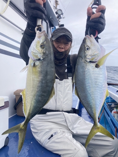 シマアジの釣果